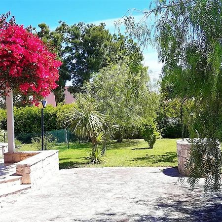 פולינאנו א מארה Bouganvilla מראה חיצוני תמונה