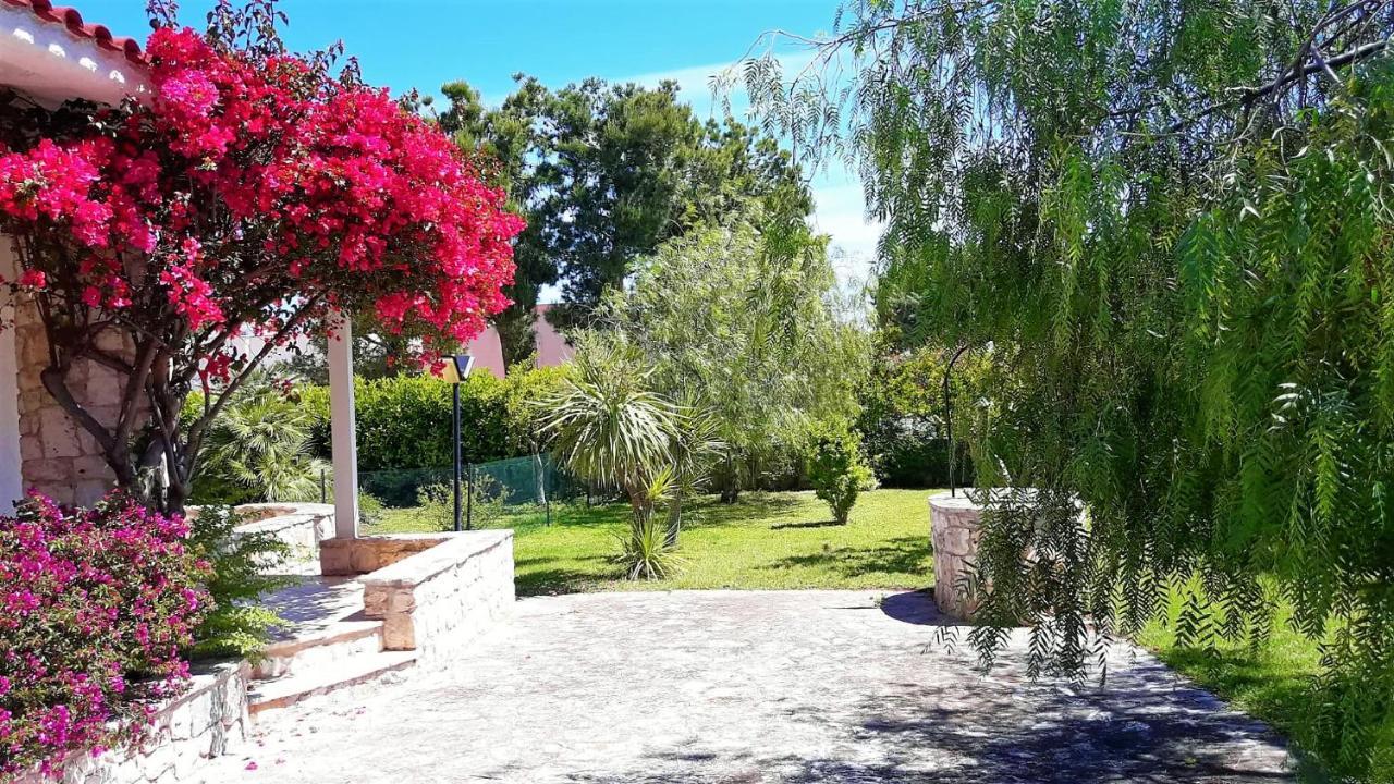 פולינאנו א מארה Bouganvilla מראה חיצוני תמונה
