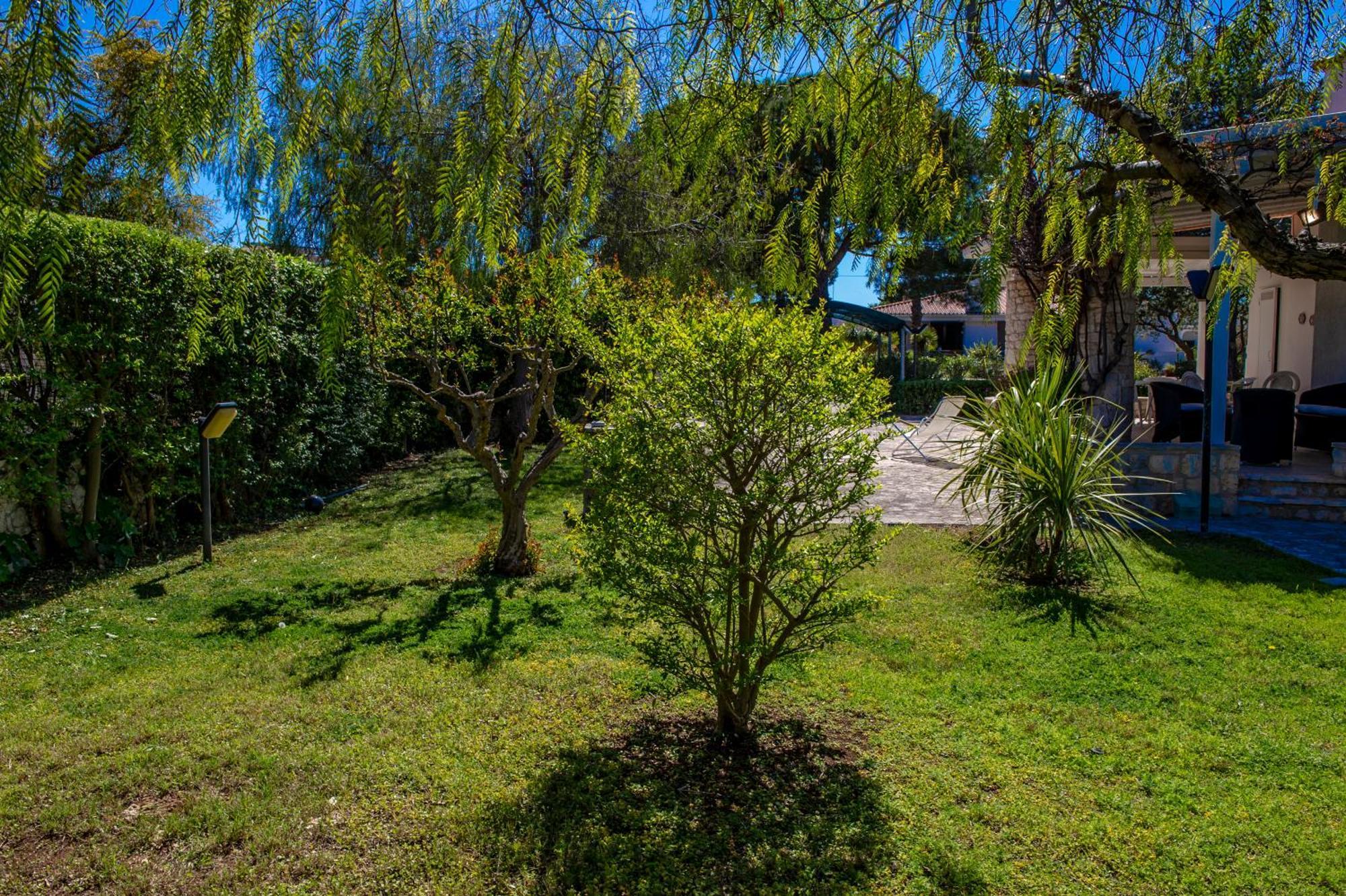פולינאנו א מארה Bouganvilla מראה חיצוני תמונה